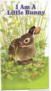I Am a Little Bunny