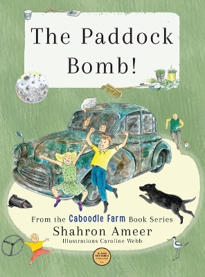 The Paddock Bomb!