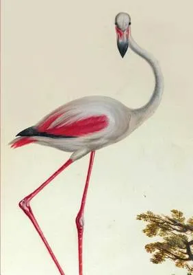 Carnet Ligne, Flamant Rose