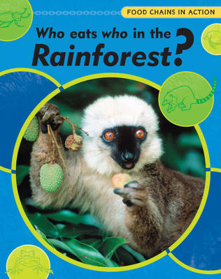 Food Chains In Action: Who Eats Who In The Rainforest