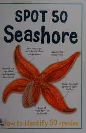 Spot 50 - Seashore