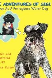 A Day as a Portuguese Water Dog