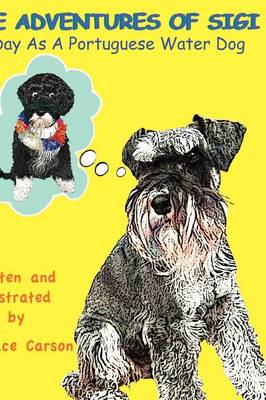 A Day as a Portuguese Water Dog