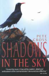 Shadows in the Sky