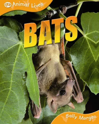 Bats