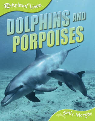 Dolphins and Porpoises