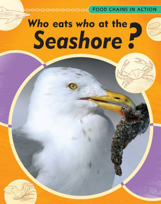 Food Chains In Action: Who Eats Who At The Seashore