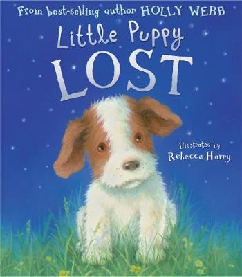 Little Puppy Lost