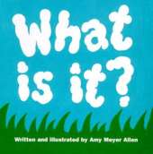 What Is It?