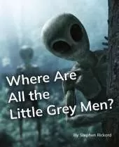 Where Are All the Little Grey Men?: Phonics Phase 5