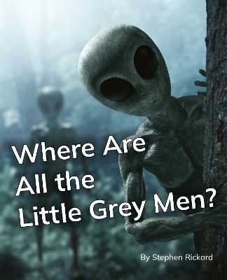 Where Are All the Little Grey Men?: Phonics Phase 5