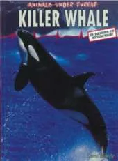 Killer Whale