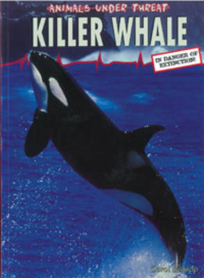 Killer Whale