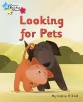 Looking for Pets: Phonics Phase 3