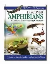 Discover Amphibians: A Guide to These Amazing Creatures