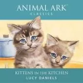 Kittens in the Kitchen