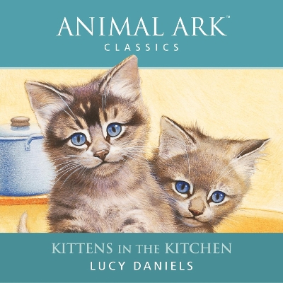 Kittens in the Kitchen