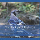 My Backyard Jaybirds: Blue Jays