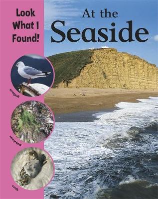 Look What I Found!: At The Seaside