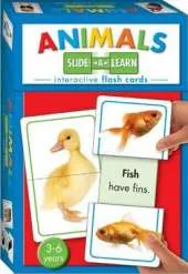 Animals