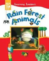 Rain Forest Animals