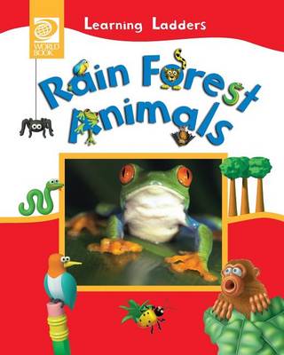 Rain Forest Animals