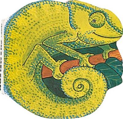 Pocket Chameleon: Pocket PAL