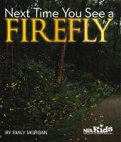 Next Time You See a Firefly