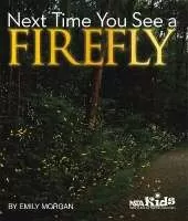 Next Time You See a Firefly