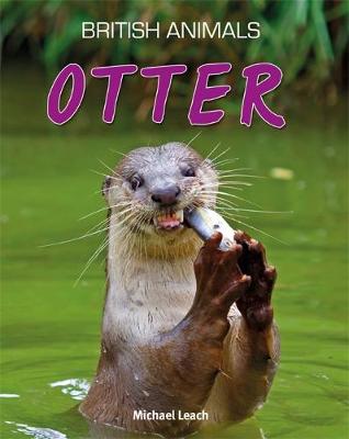 British Animals: Otter
