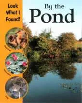 Look What I Found!: By The Pond