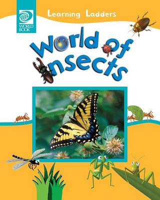 World of Insects