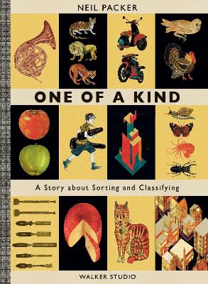 One of a Kind: A Story About Sorting and Classifying