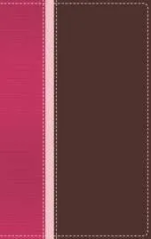NIV Teen Study Bible SEA