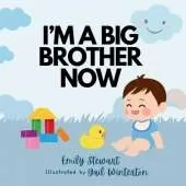 I'm a Big Brother Now: Introducing a new baby