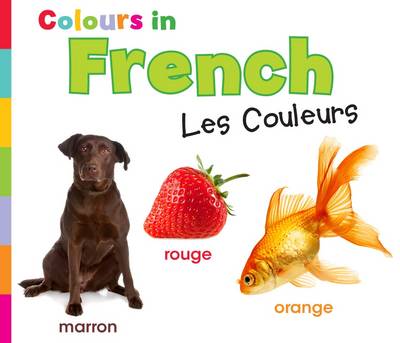 Colours in French: Les Couleurs