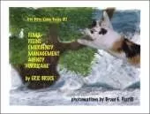 Itty Bitty Kiddy Books: FEMA - Feline Emergency Management Agency - Hurricane
