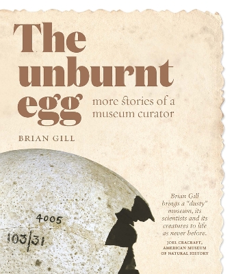 The Unburnt Egg: More Stories from a Museum Curator