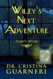 Wiley's Next Adventure: Angel's Wings