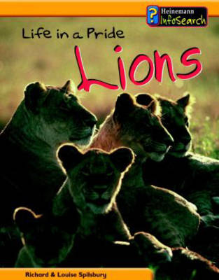 Animal Groups: Life in a Pride of Lions Paperback