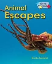 Animal Escapes (Pack 6)