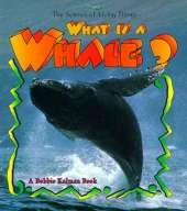 What is a Whale?