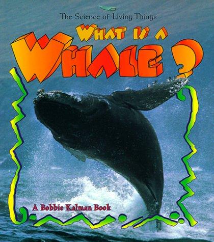 What is a Whale?