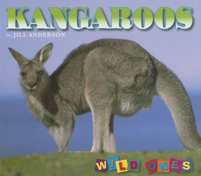 Kangaroos