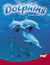 Dolphins