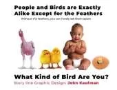 People And Birds Are Exactly Alike Except For The Feathers: What Kind of Bird Are You?