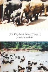 An Elephant Never Forgets