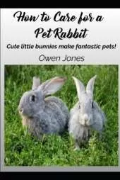 How To Care For A Pet Rabbit: Cute little bunnies make fantastic pets!