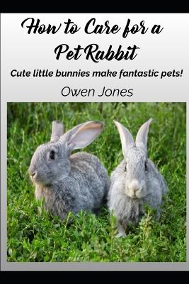 How To Care For A Pet Rabbit: Cute little bunnies make fantastic pets!