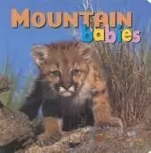 Mountain Babies